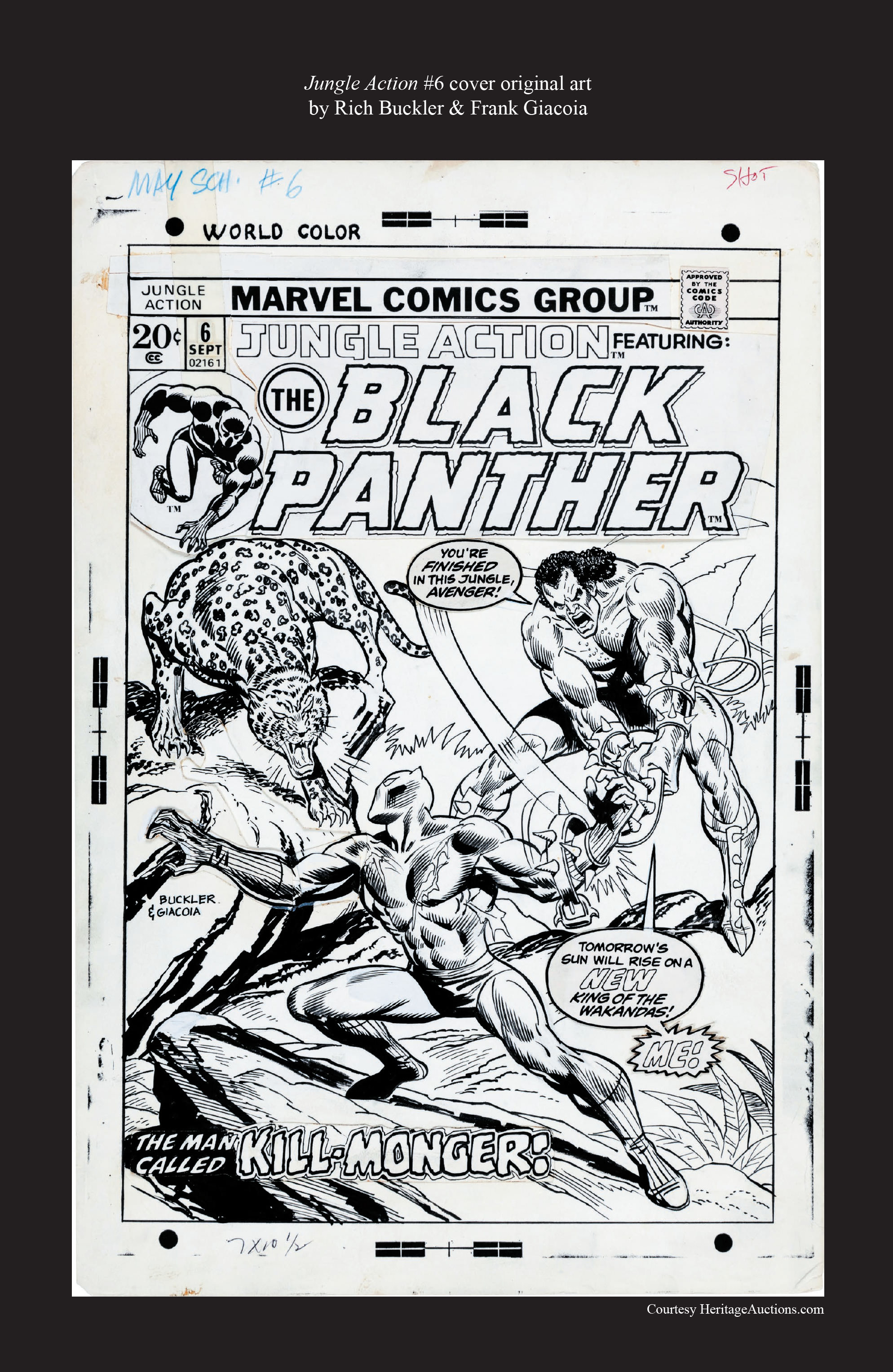 Read online Black Panther: The Early Years Omnibus comic -  Issue # TPB (Part 9) - 36