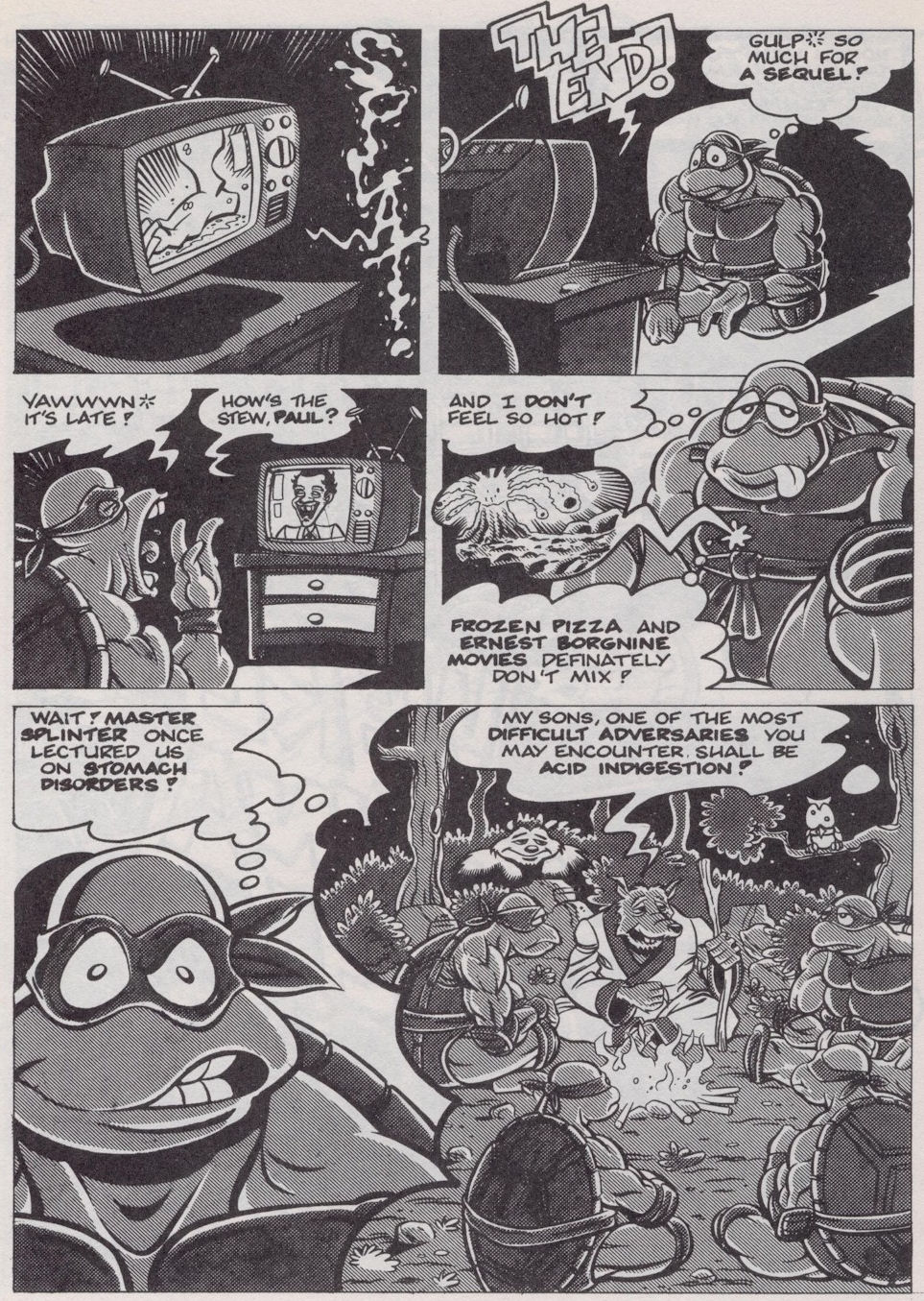 Read online Teenage Mutant Ninja Turtles (1984) comic -  Issue #38 - 9