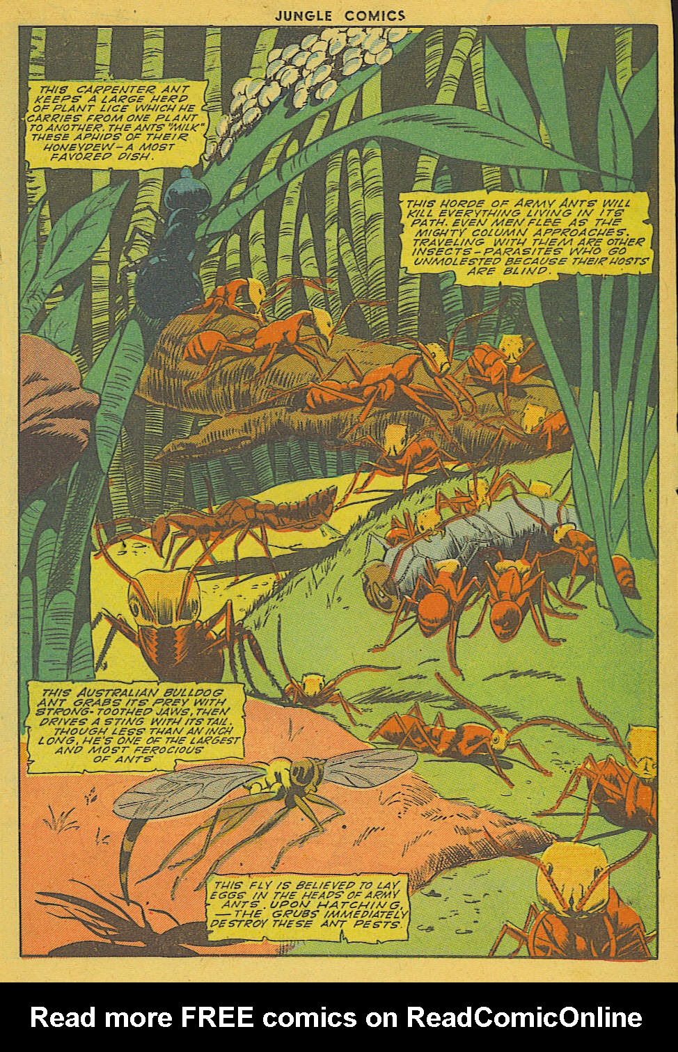 Read online Jungle Comics comic -  Issue #62 - 29