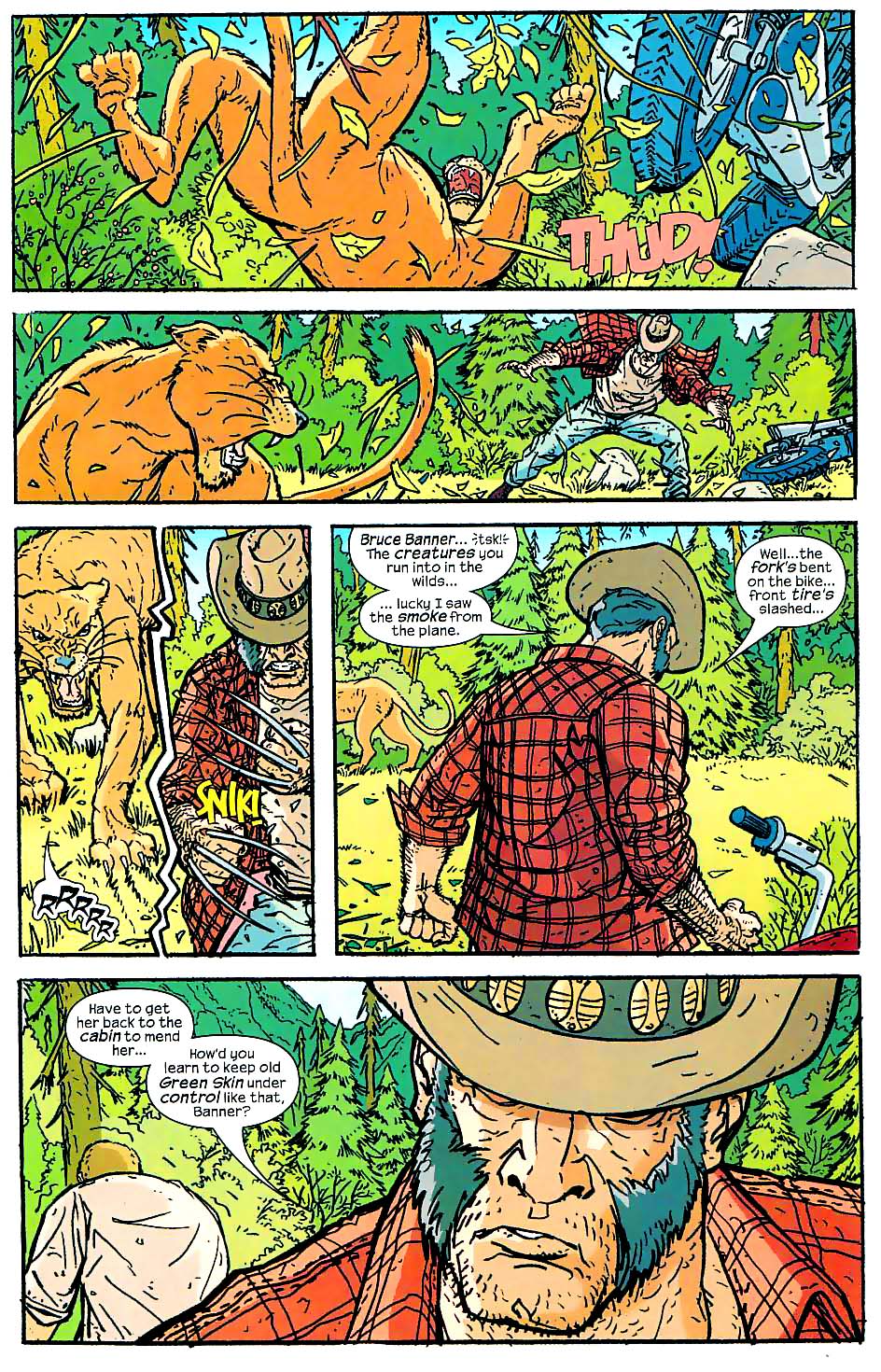 Read online Hulk/Wolverine: 6 Hours comic -  Issue #2 - 10