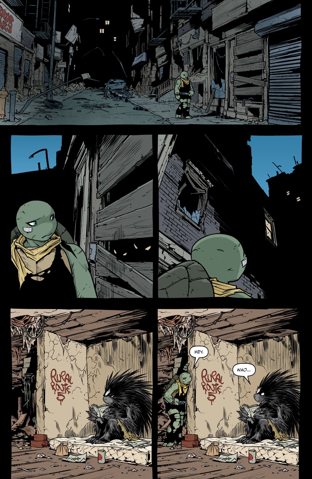Teenage Mutant Ninja Turtles (2011) issue 116 - Page 3