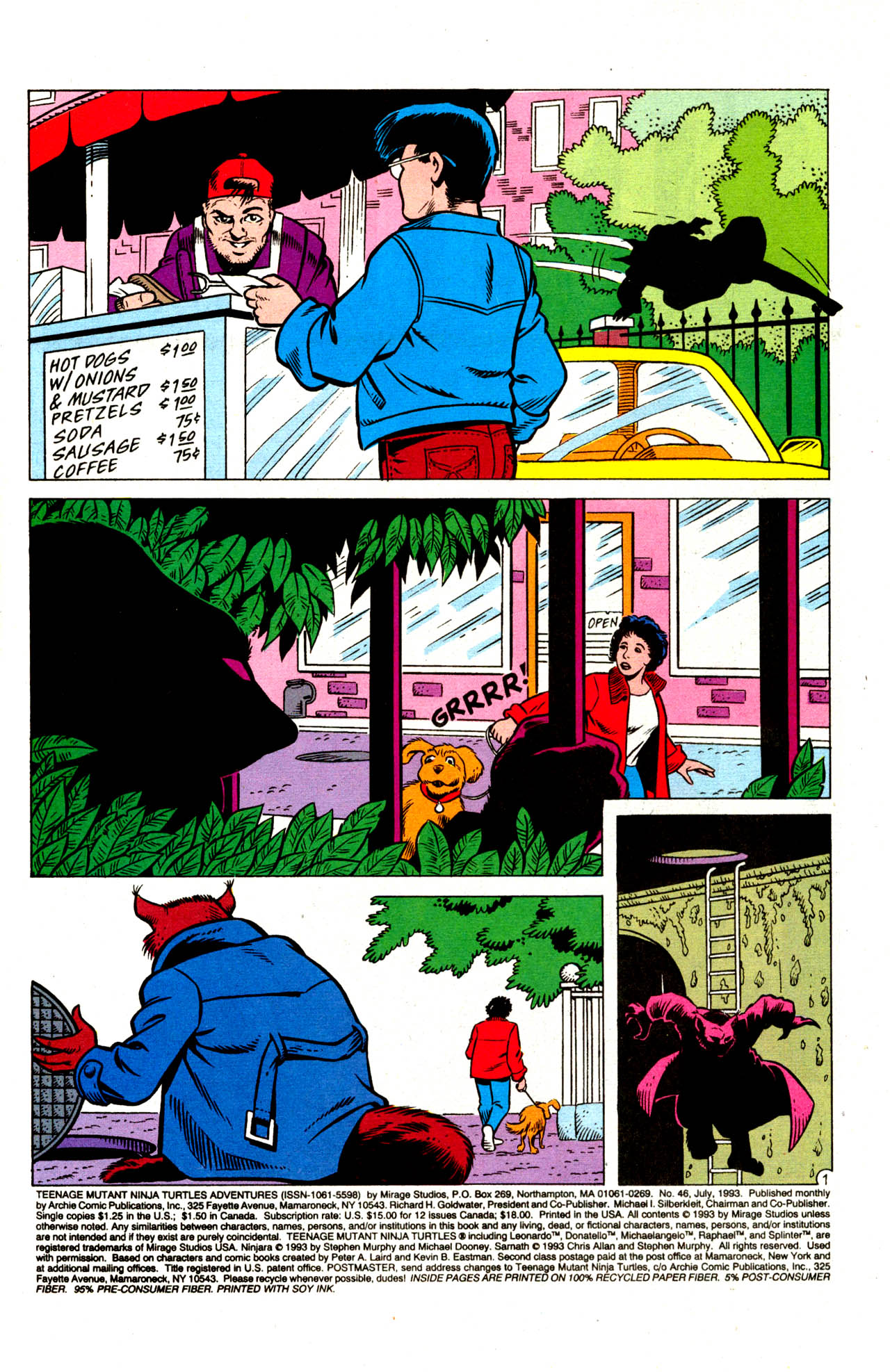 Read online Teenage Mutant Ninja Turtles Adventures (1989) comic -  Issue #46 - 3