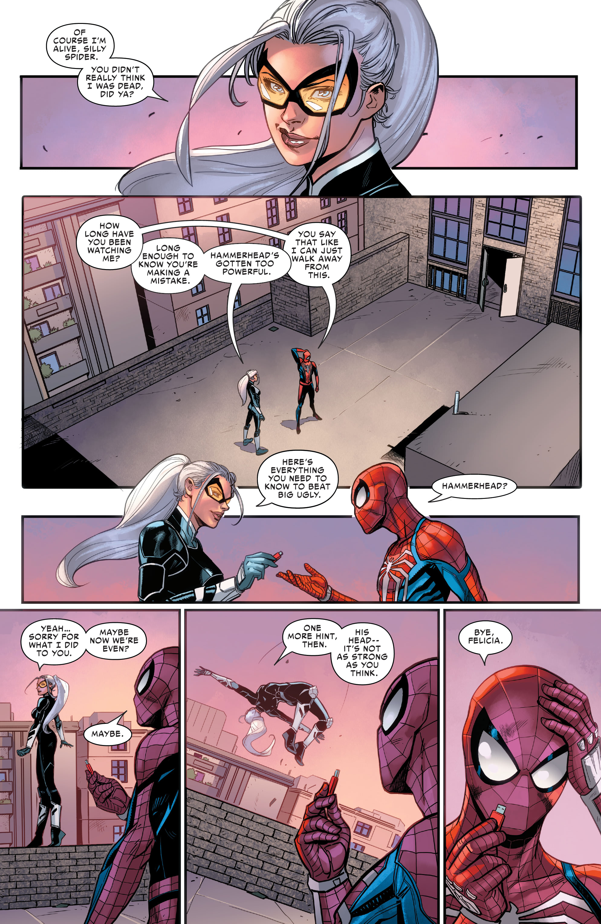 Read online Marvel's Spider-Man: The Black Cat Strikes comic -  Issue #5 - 5