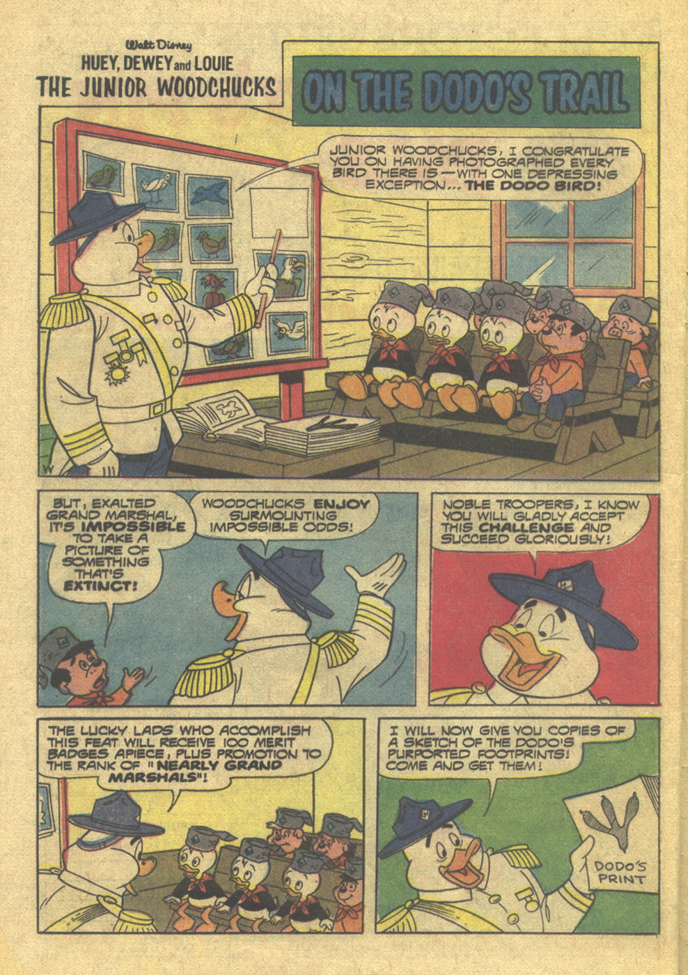 Read online Huey, Dewey, and Louie Junior Woodchucks comic -  Issue #16 - 24