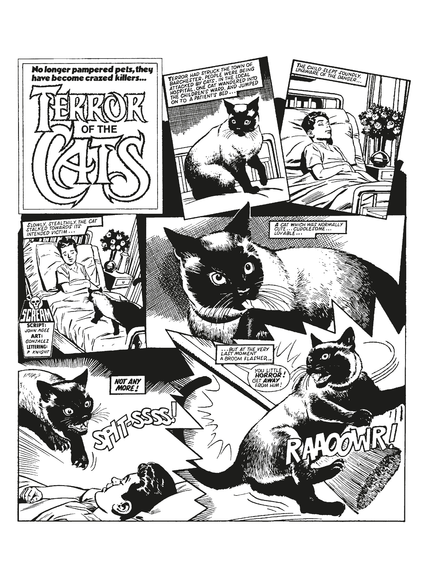 Read online Judge Dredd Megazine (Vol. 5) comic -  Issue #417 - 109
