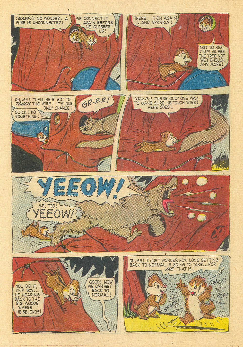 Read online Walt Disney's Chip 'N' Dale comic -  Issue #27 - 13