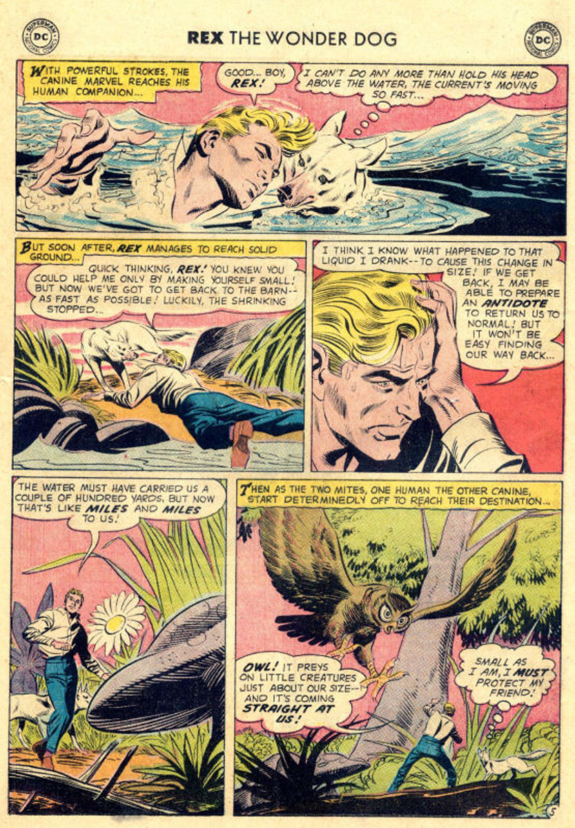 Read online The Adventures of Rex the Wonder Dog comic -  Issue #43 - 29