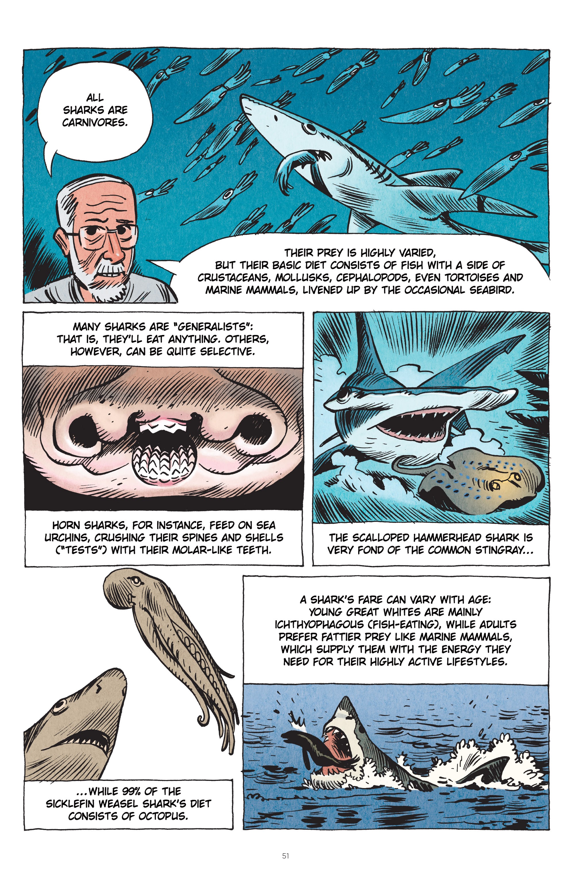 Read online Little Book of Knowledge: Sharks comic -  Issue # TPB - 51