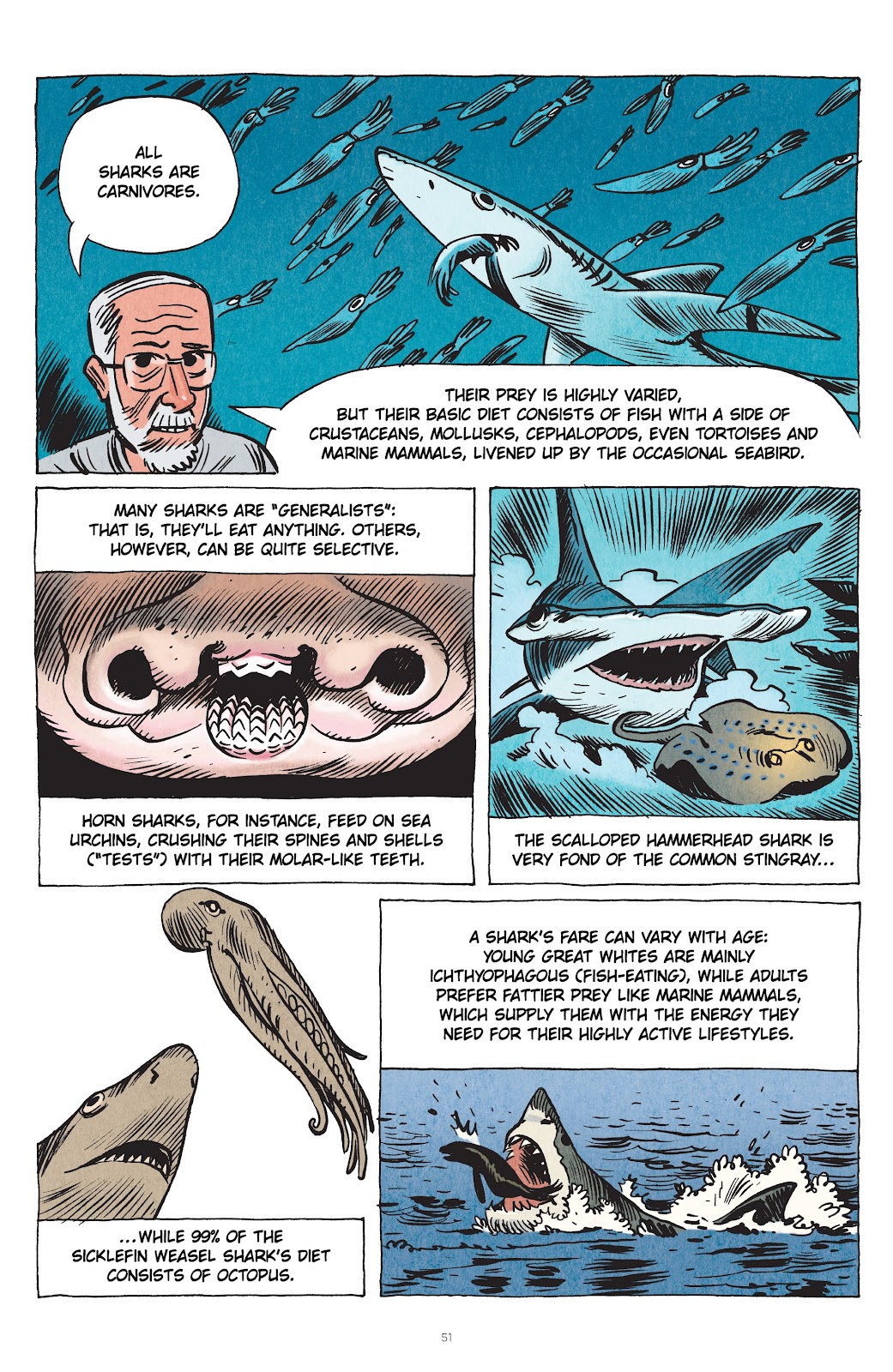 Little Book of Knowledge: Sharks issue TPB - Page 51
