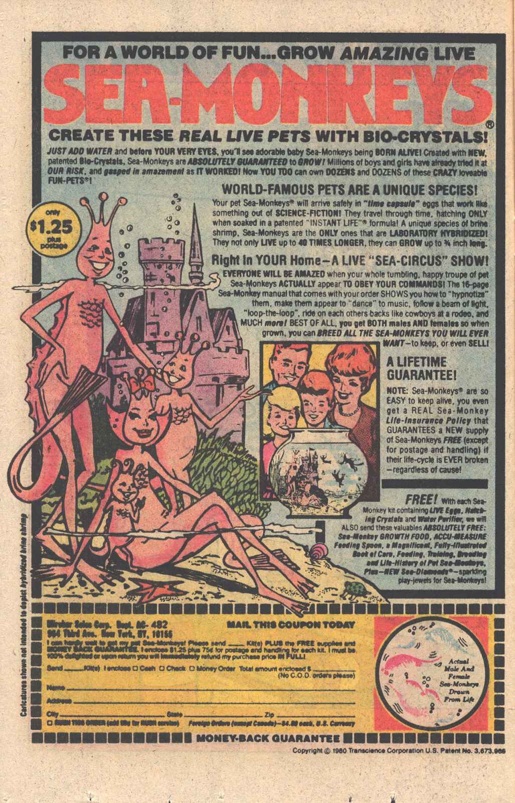 Read online Jughead (1965) comic -  Issue #323 - 9