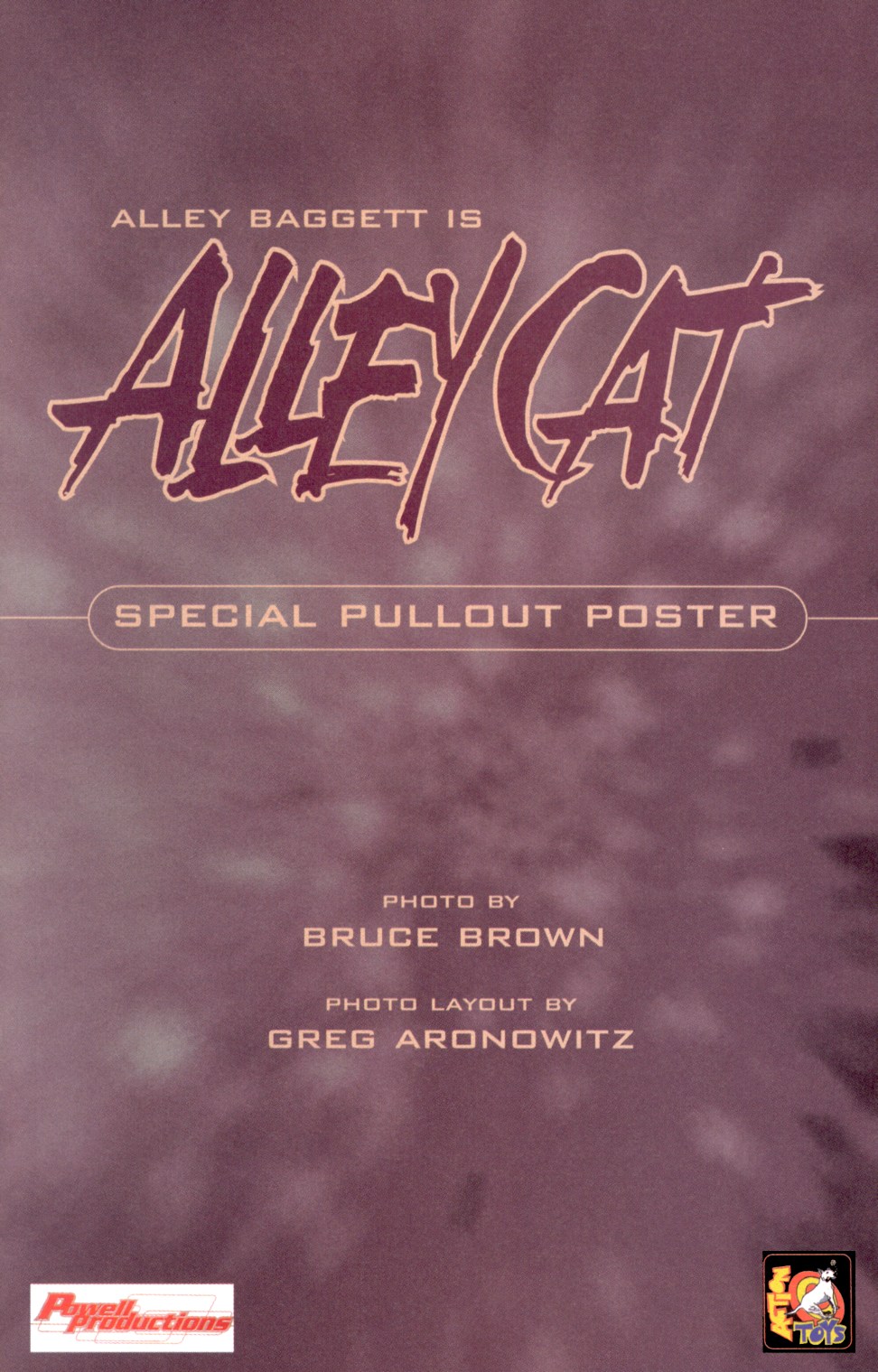 Read online Alley Cat comic -  Issue #3 - 16