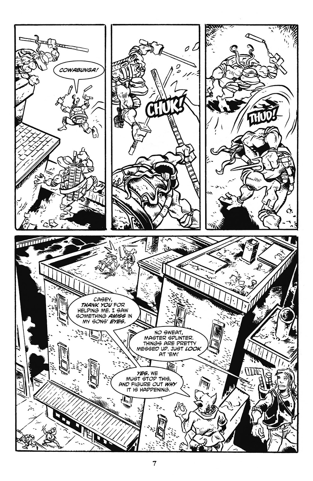 Tales of the TMNT issue 48 - Page 11