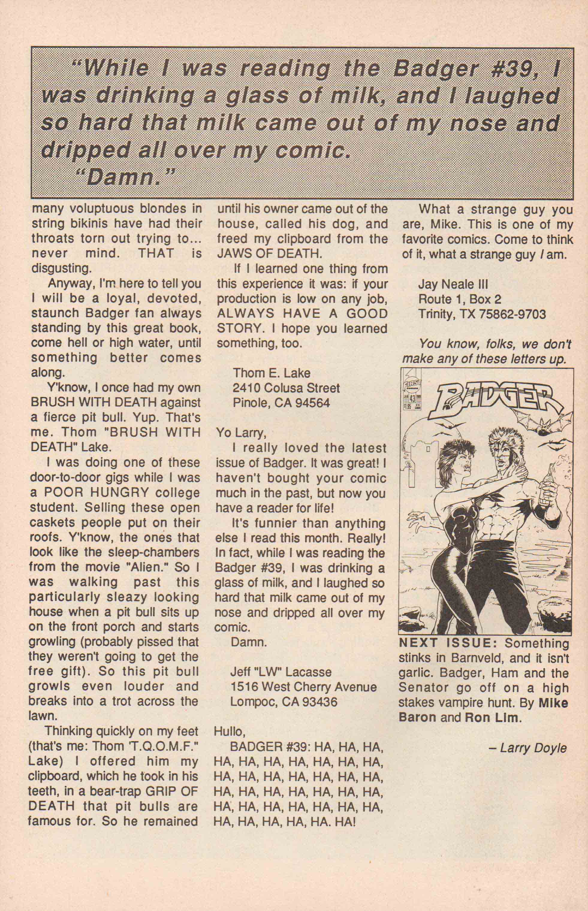 Read online The Badger comic -  Issue #42 - 33
