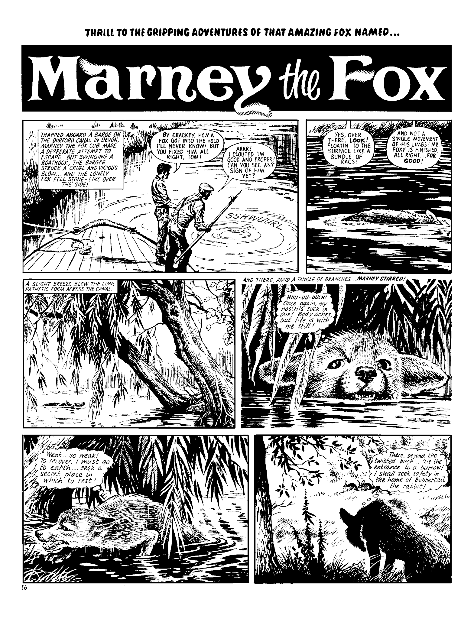 Read online Marney the Fox comic -  Issue # TPB (Part 2) - 28