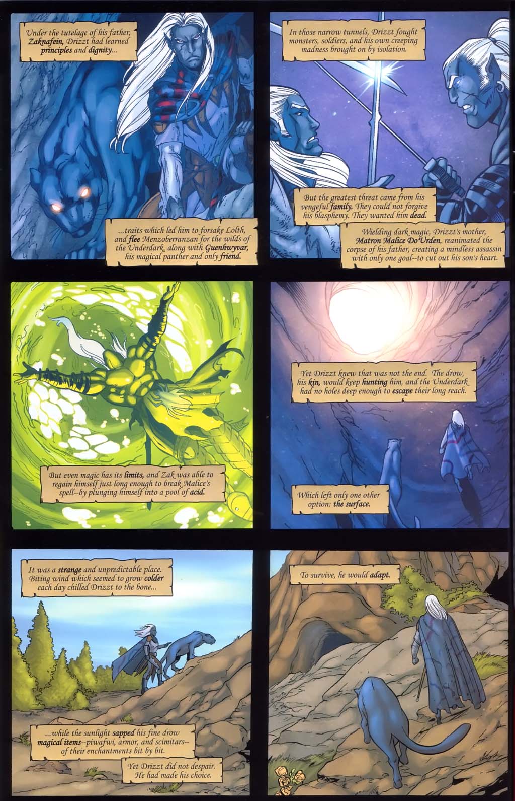 Read online Forgotten Realms: Sojourn comic -  Issue #1 - 4