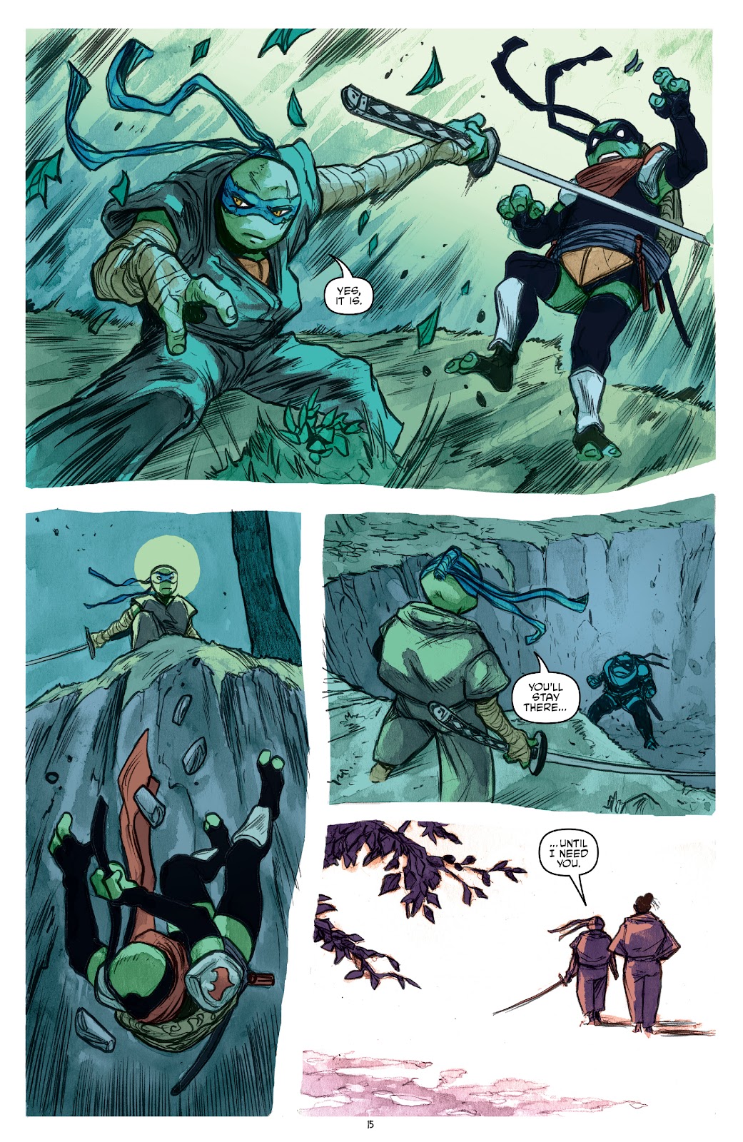 Teenage Mutant Ninja Turtles (2011) issue 132 - Page 17