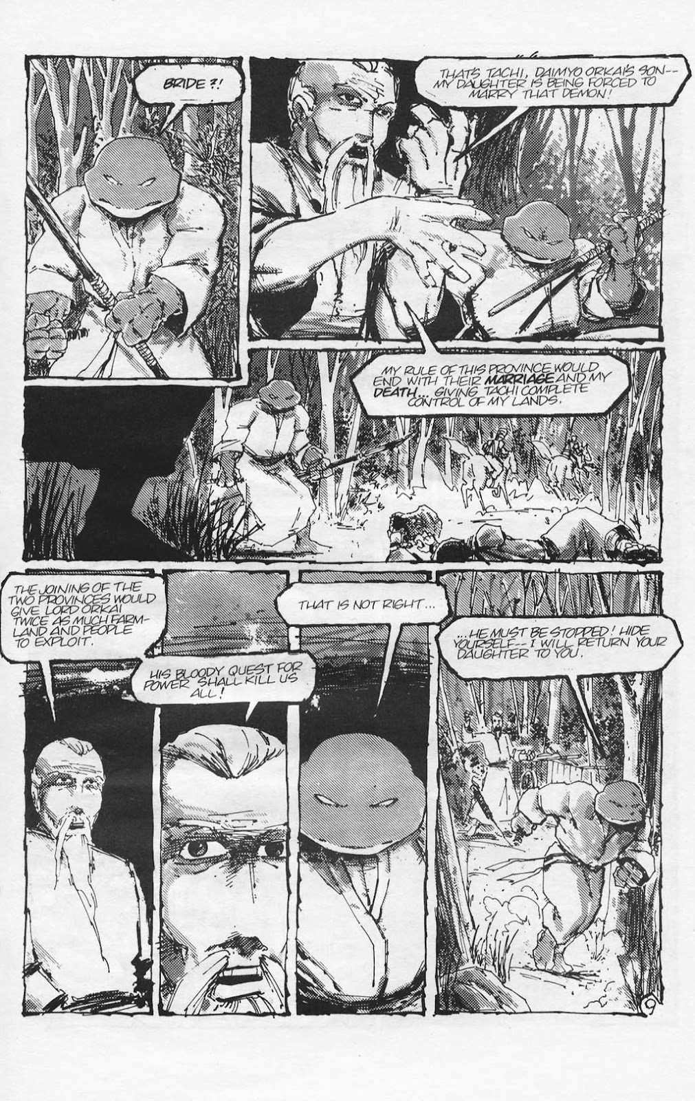 Teenage Mutant Ninja Turtles (1984) Issue #17 #17 - English 12