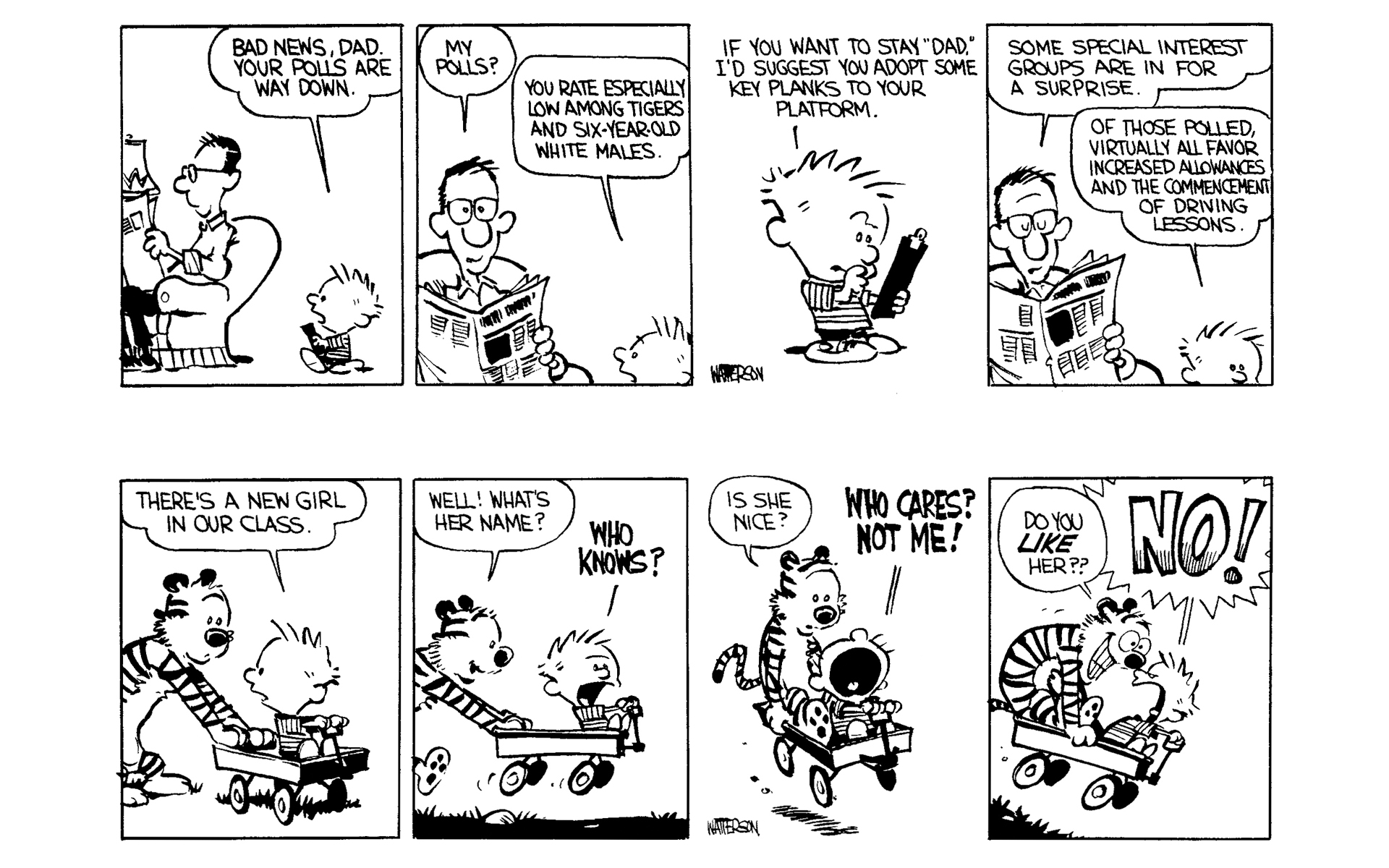 Read online Calvin and Hobbes comic -  Issue #1 - 14