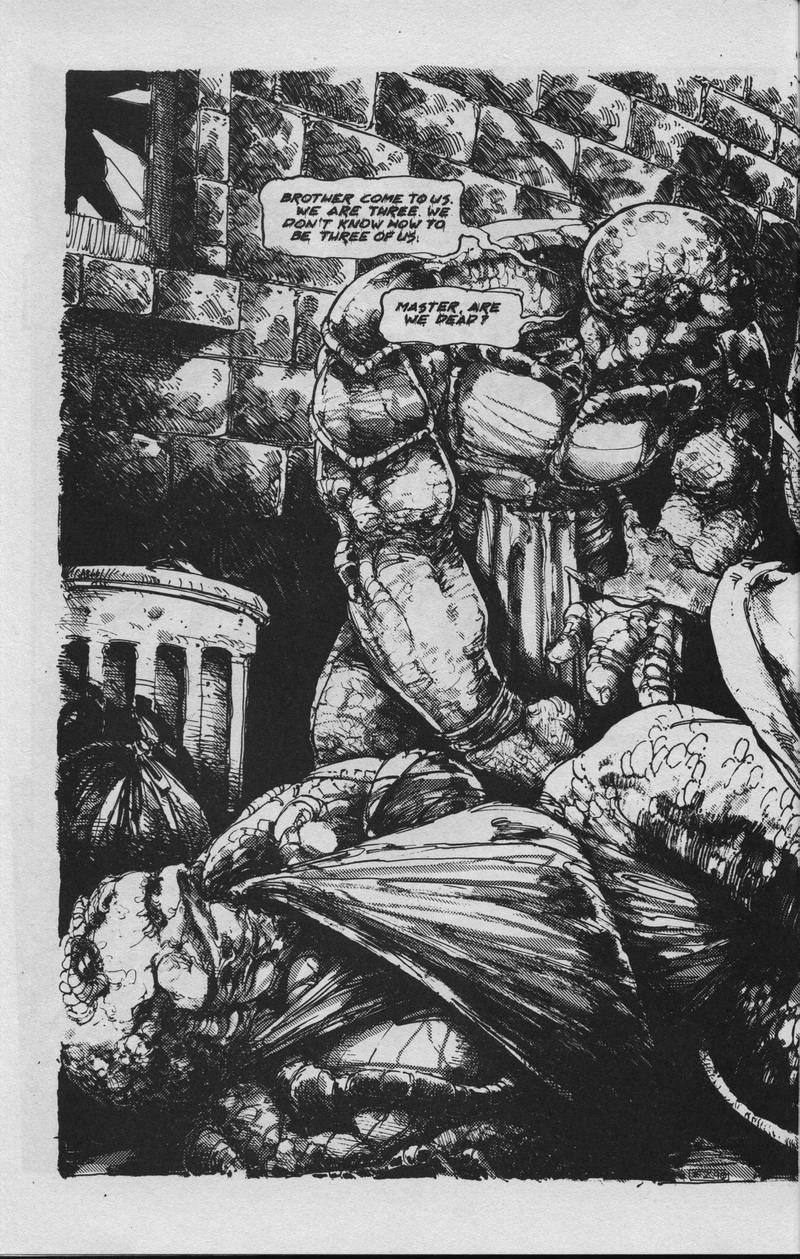 Teenage Mutant Ninja Turtles (1984) Issue #36 #36 - English 7