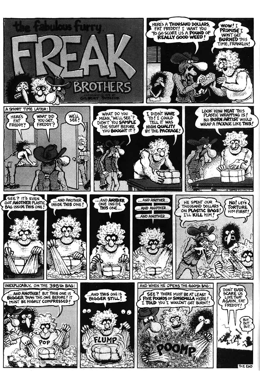 Read online The Fabulous Furry Freak Brothers comic -  Issue #13 - 8