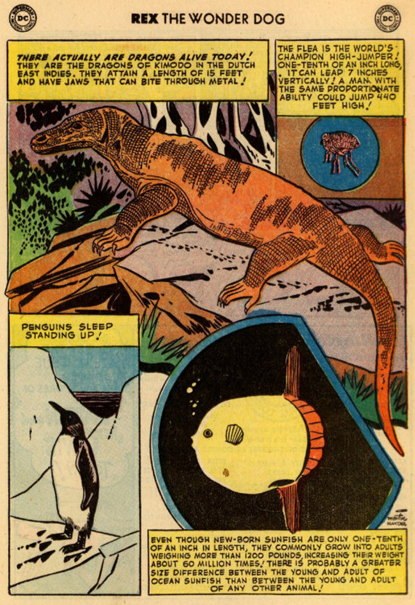 Read online The Adventures of Rex the Wonder Dog comic -  Issue #9 - 21