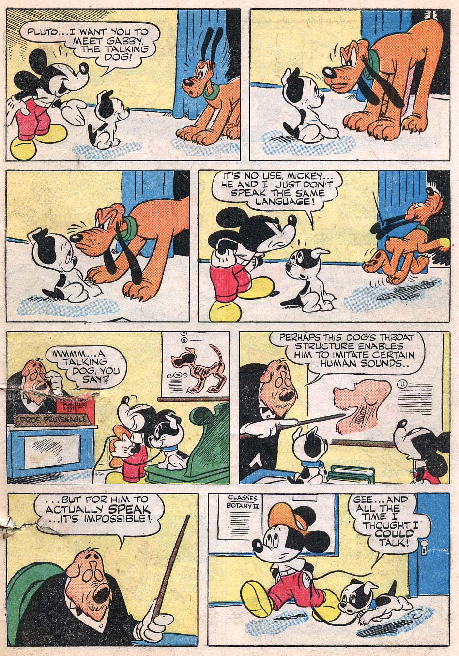 Read online Walt Disney's Comics and Stories comic -  Issue #100 - 43