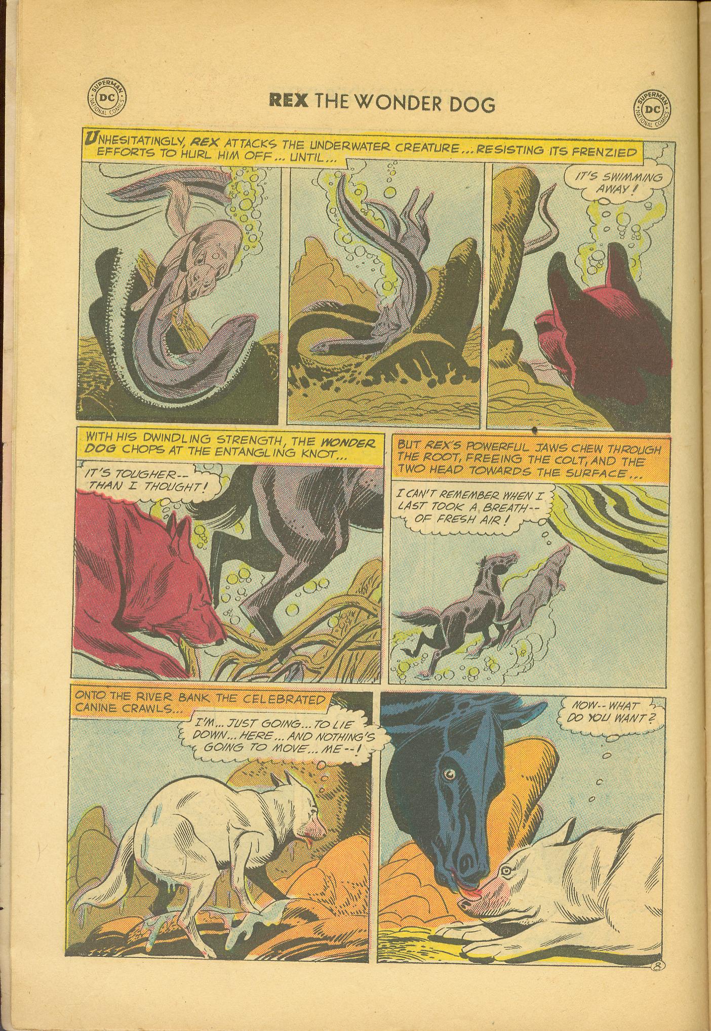 Read online The Adventures of Rex the Wonder Dog comic -  Issue #33 - 10