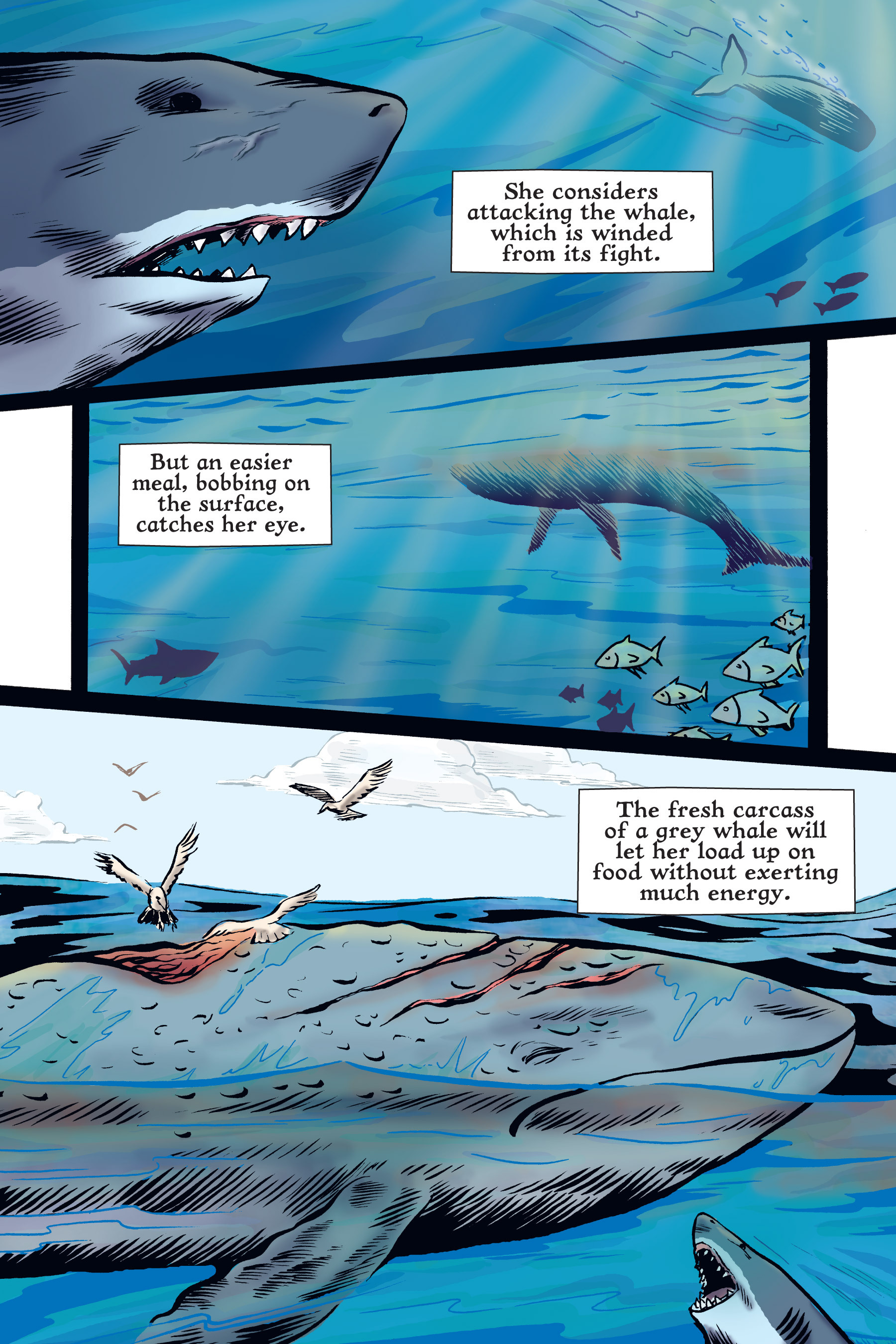 Read online Xoc: Journey of a Great White comic -  Issue # TPB - 54