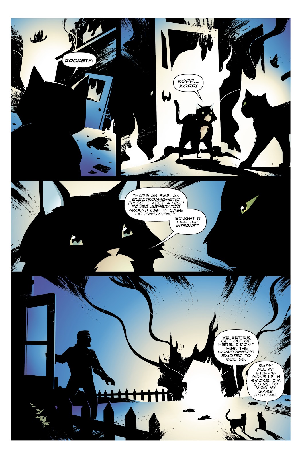 Hero Cats: Midnight Over Stellar City Vol. 2 issue 1 - Page 13