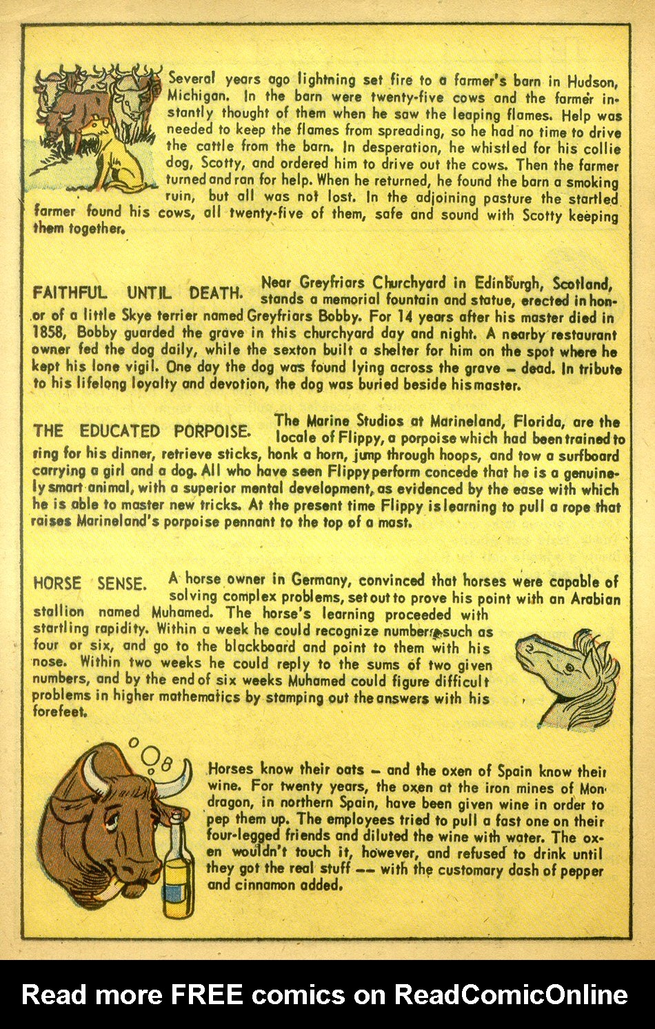 Read online Daredevil (1941) comic -  Issue #115 - 20
