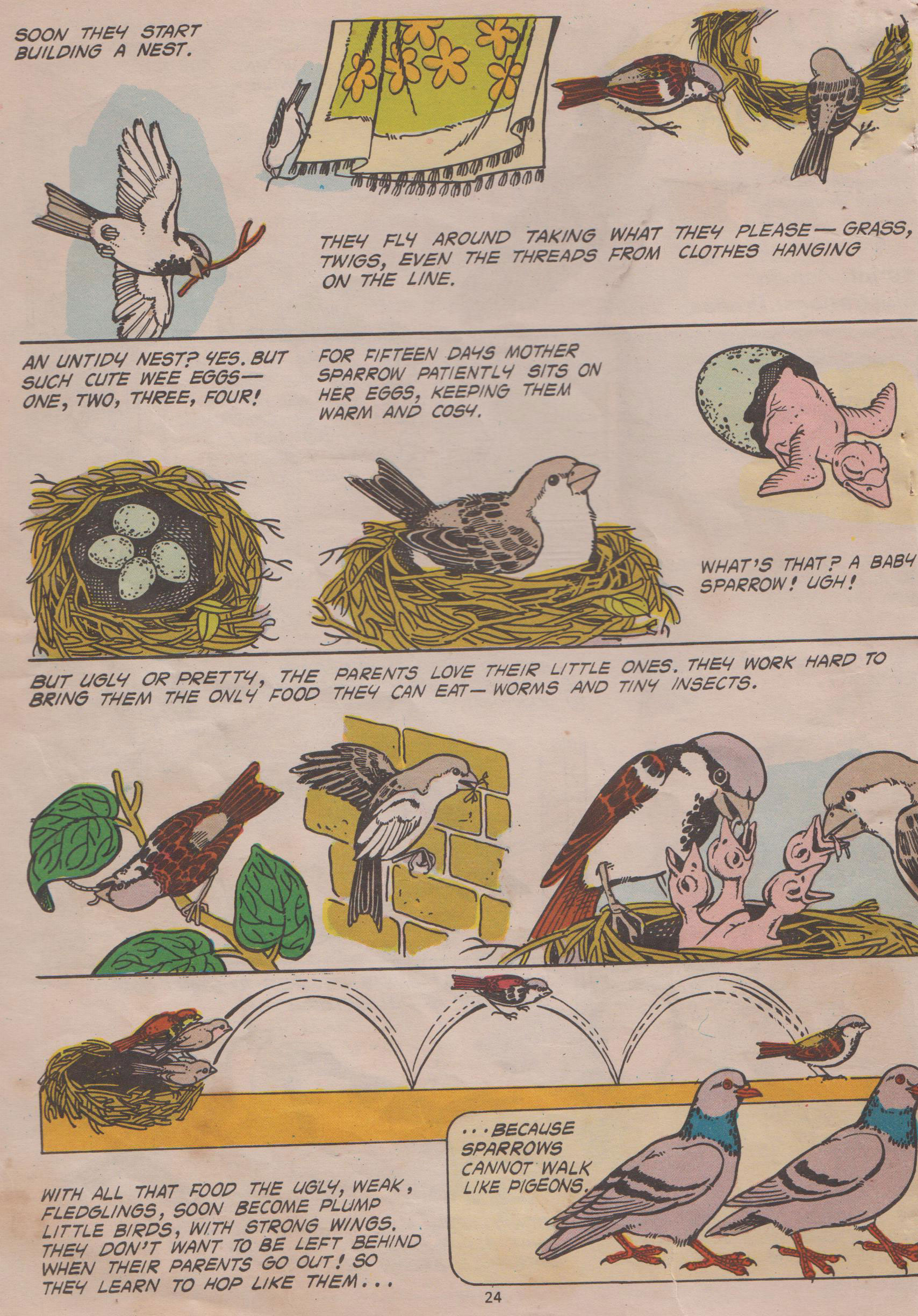 Read online Tinkle comic -  Issue #2 - 26