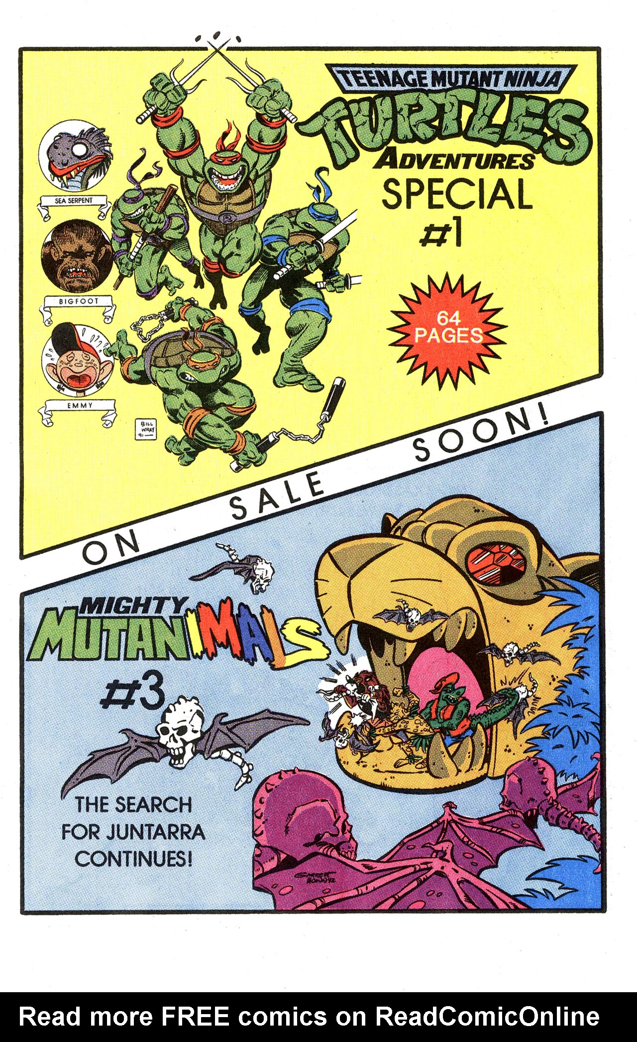 Read online Teenage Mutant Ninja Turtles Adventures (1989) comic -  Issue #33 - 33
