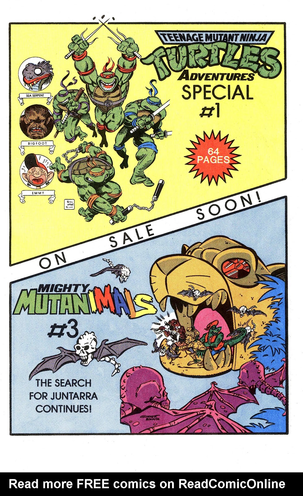 Teenage Mutant Ninja Turtles Adventures (1989) issue 33 - Page 33