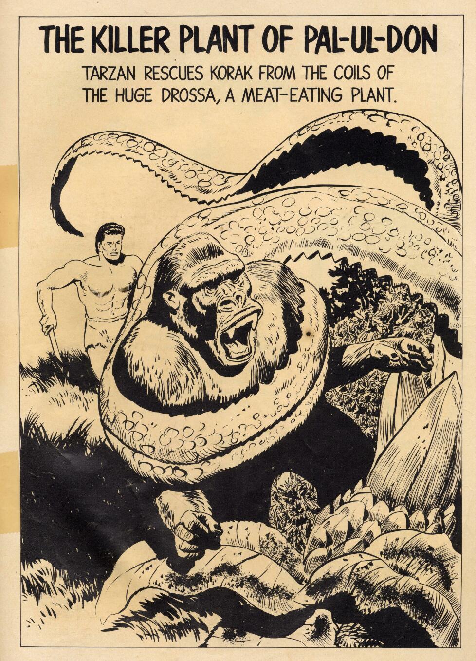 Read online Tarzan (1948) comic -  Issue #68 - 35