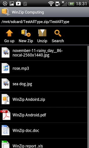 WinZip Apk 1.1.0