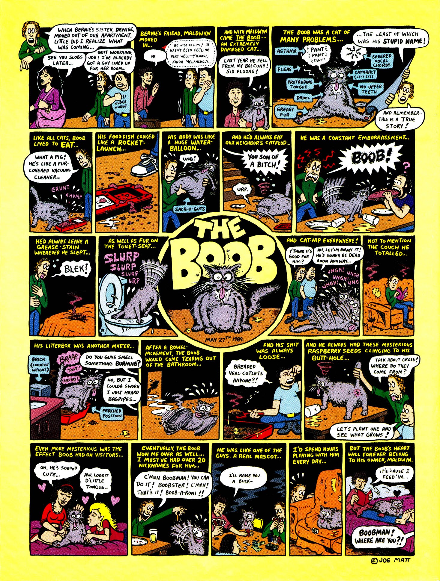 Read online Peepshow: The Cartoon Diary of Joe Matt comic -  Issue # Full - 37