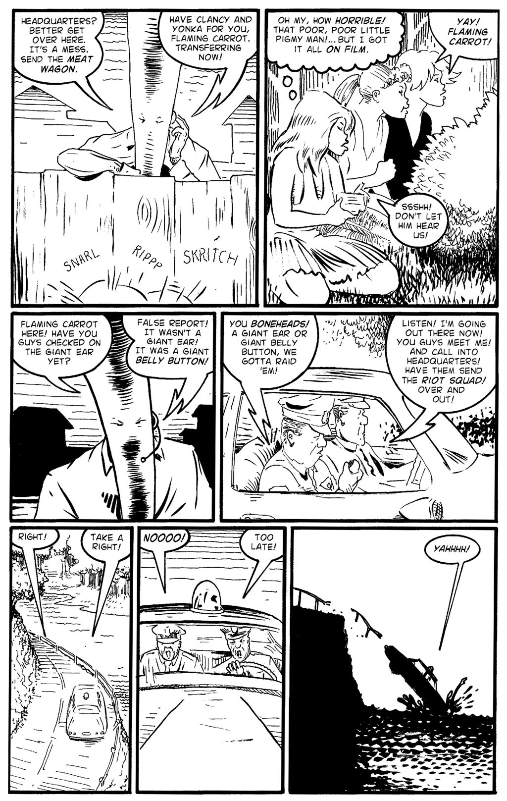 Read online Flaming Carrot Comics (2004) comic -  Issue #1 - 19