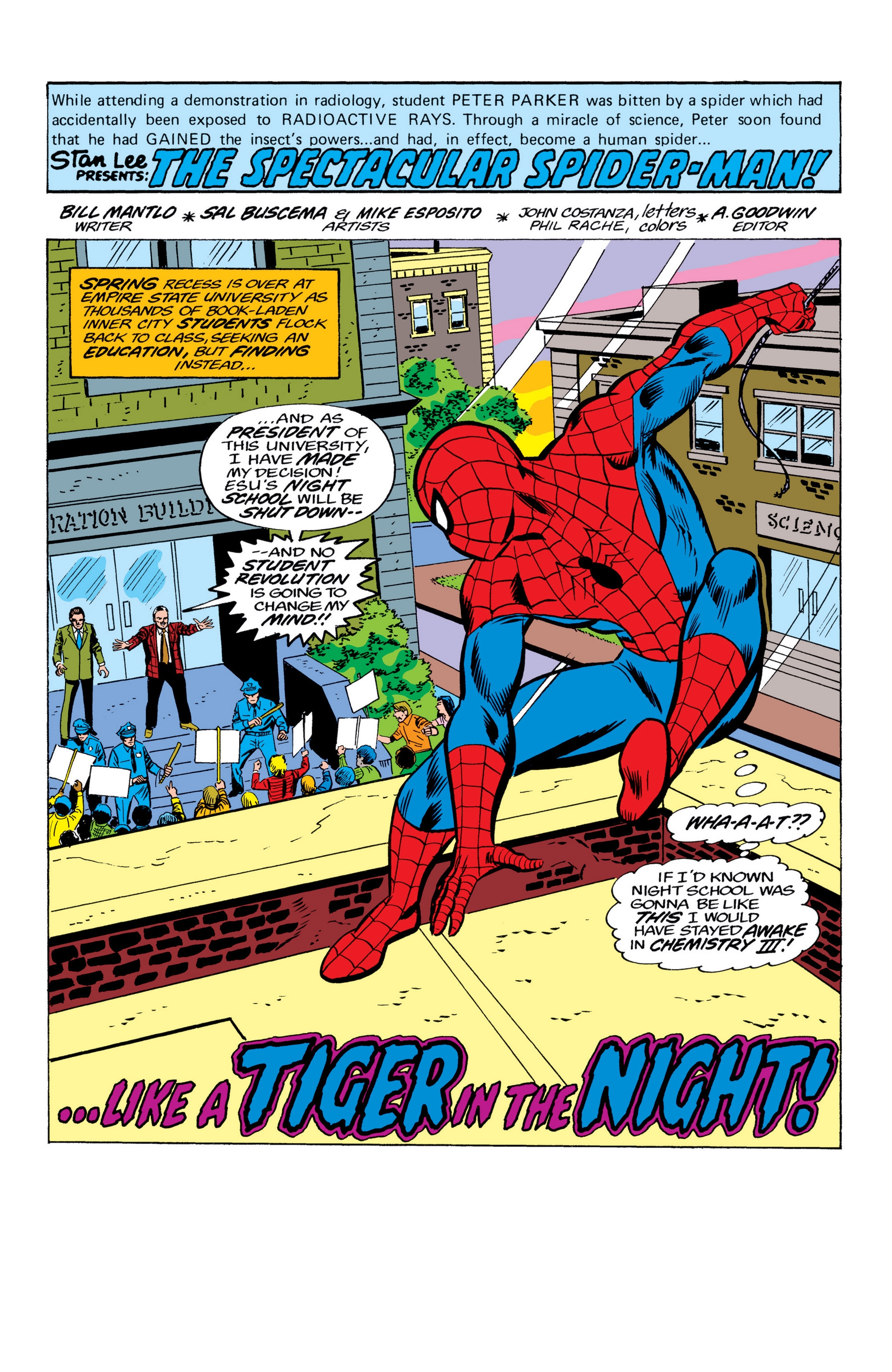 Read online Marvel Masterworks: The Spectacular Spider-Man comic -  Issue # TPB (Part 2) - 39