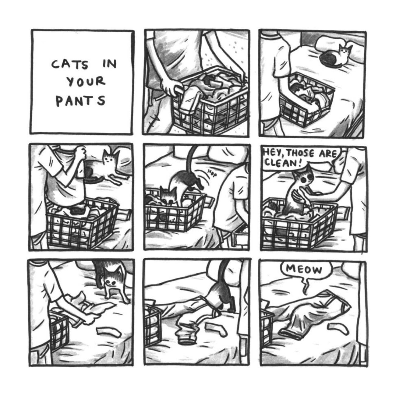 Read online Cats are Weird and More Observations comic -  Issue # TPB - 102