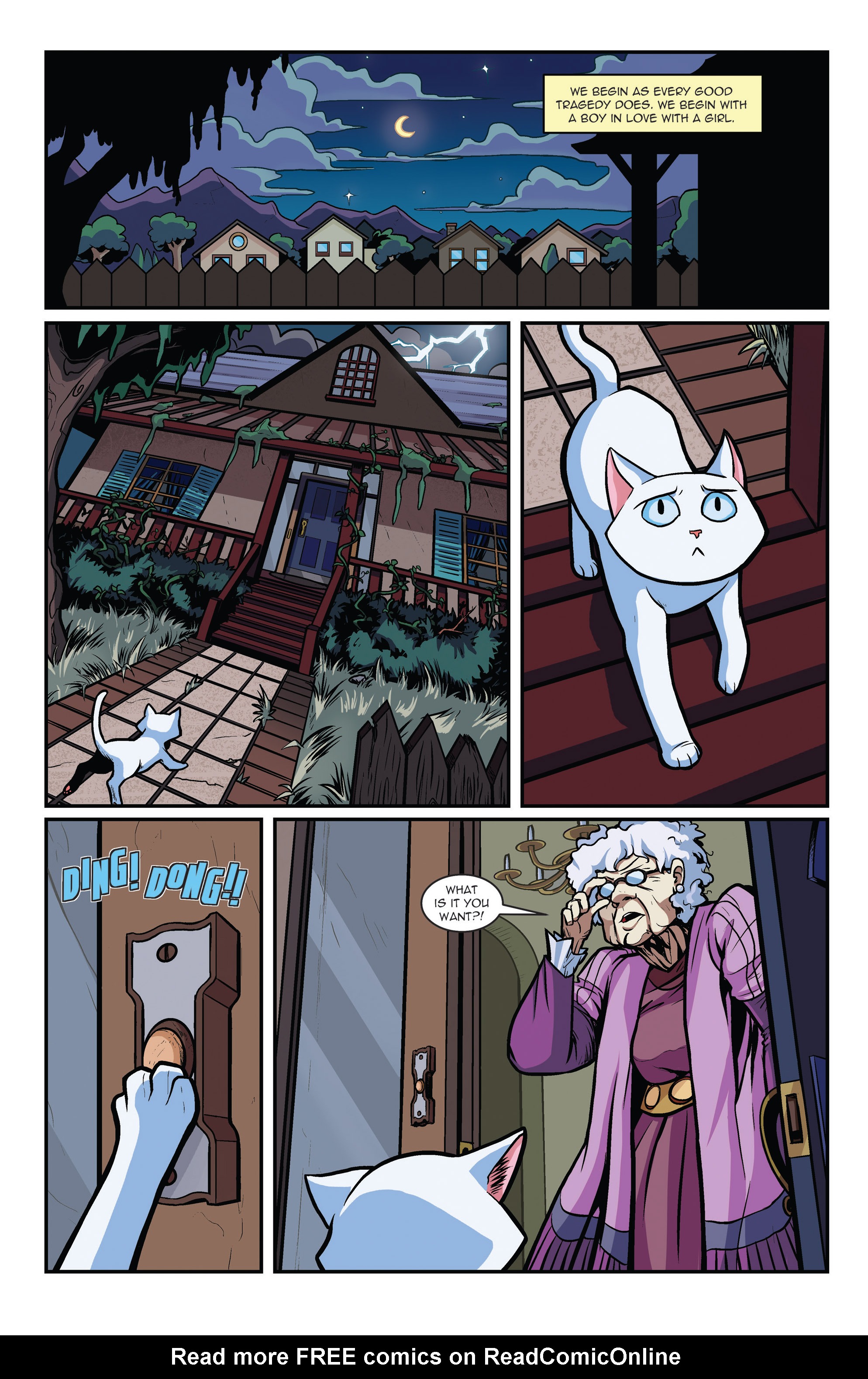 Read online Hero Cats comic -  Issue #13 - 4