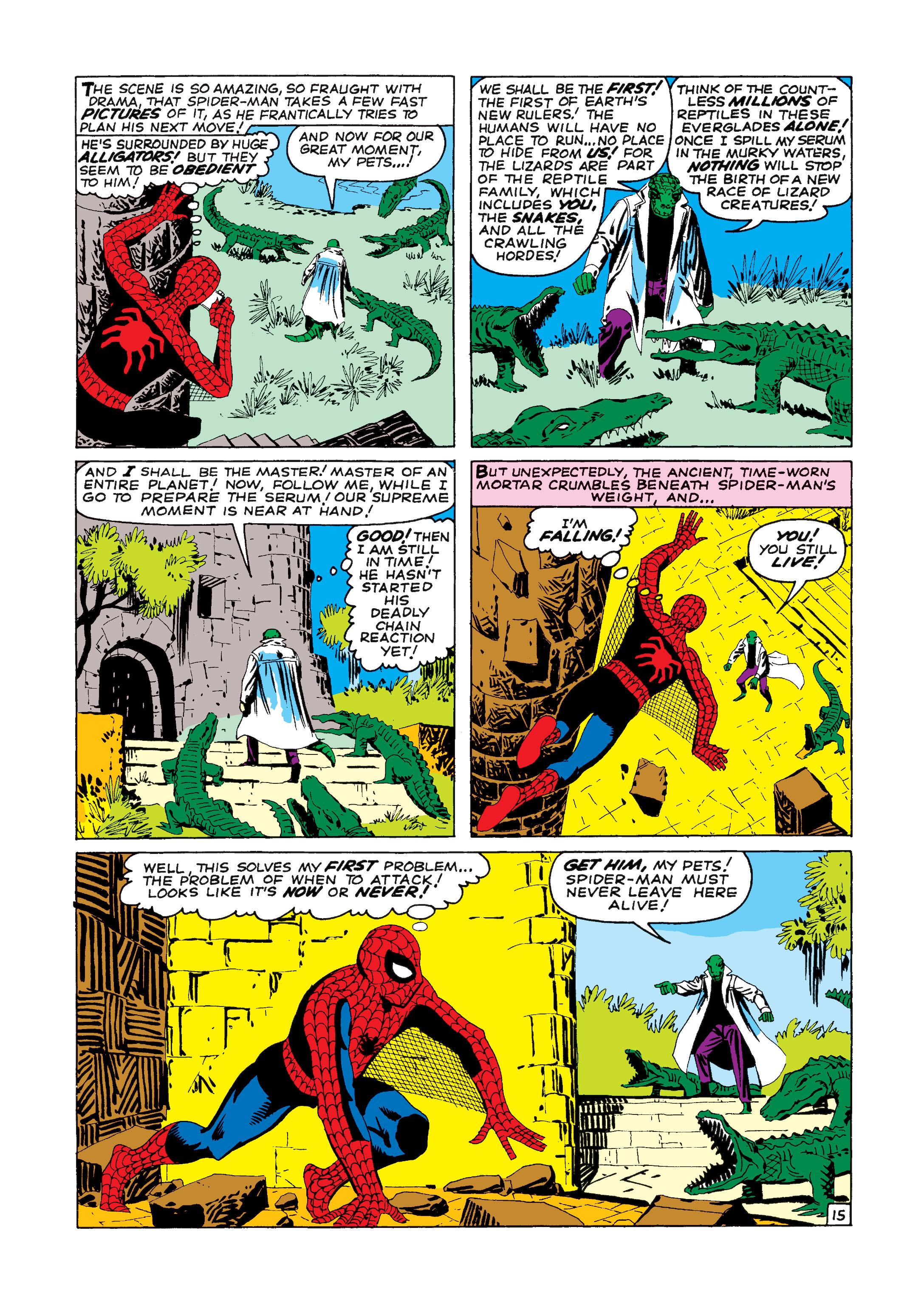 Read online The Amazing Spider-Man (1963) comic -  Issue #6 - 16