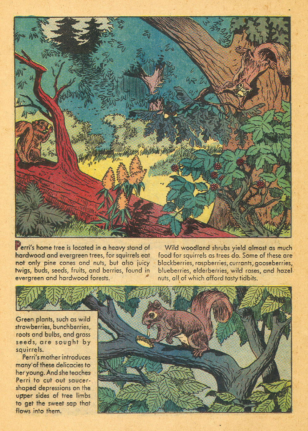 Read online Four Color Comics comic -  Issue #847 - 24
