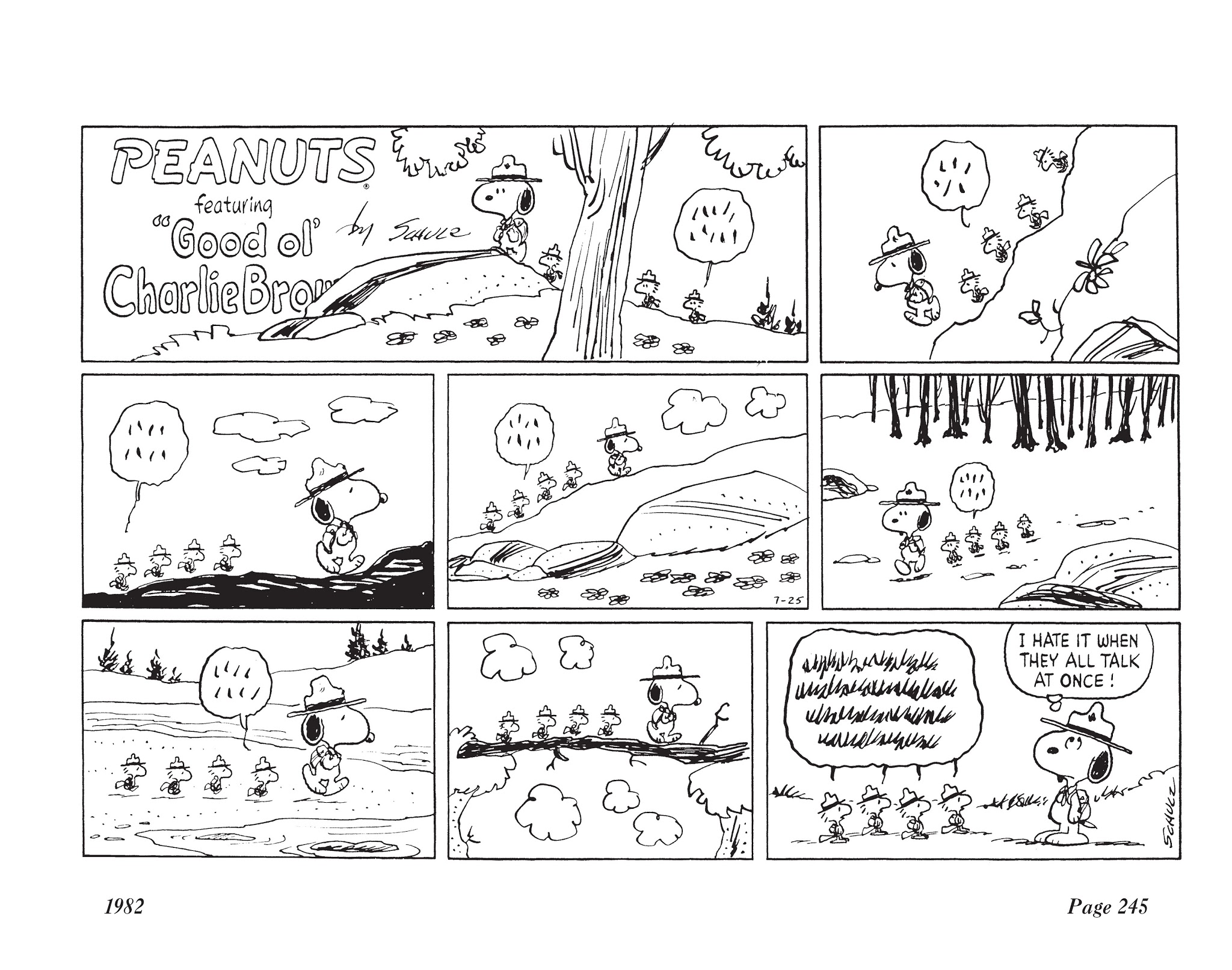 Read online The Complete Peanuts comic -  Issue # TPB 16 - 263