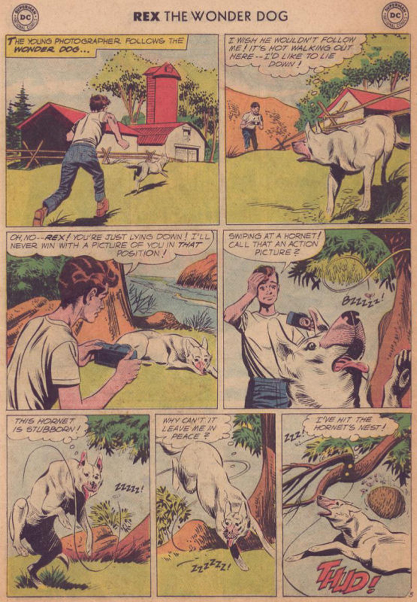 Read online The Adventures of Rex the Wonder Dog comic -  Issue #41 - 5