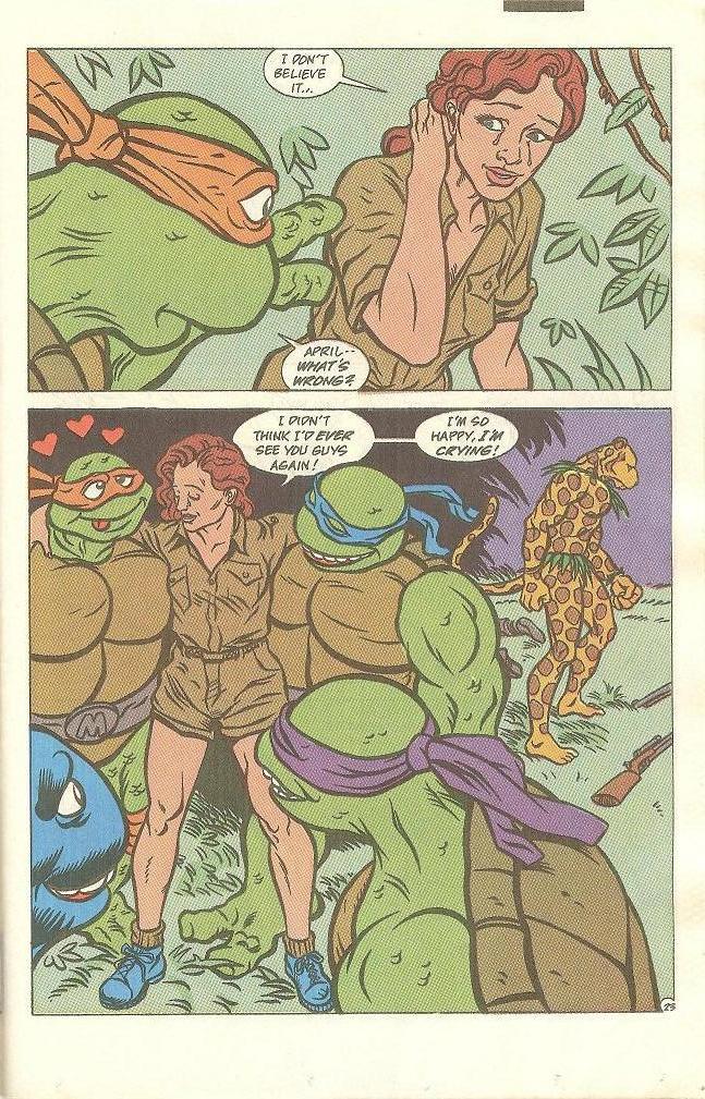 Read online Teenage Mutant Ninja Turtles Adventures (1989) comic -  Issue #14 - 24