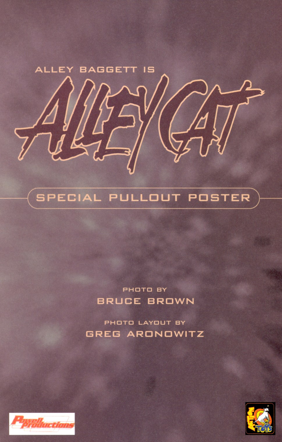 Read online Alley Cat comic -  Issue #2 - 17