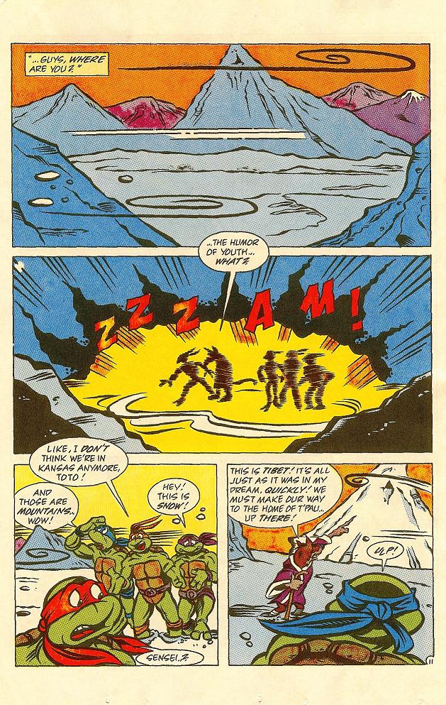 Read online Teenage Mutant Ninja Turtles Adventures (1989) comic -  Issue #26 - 12