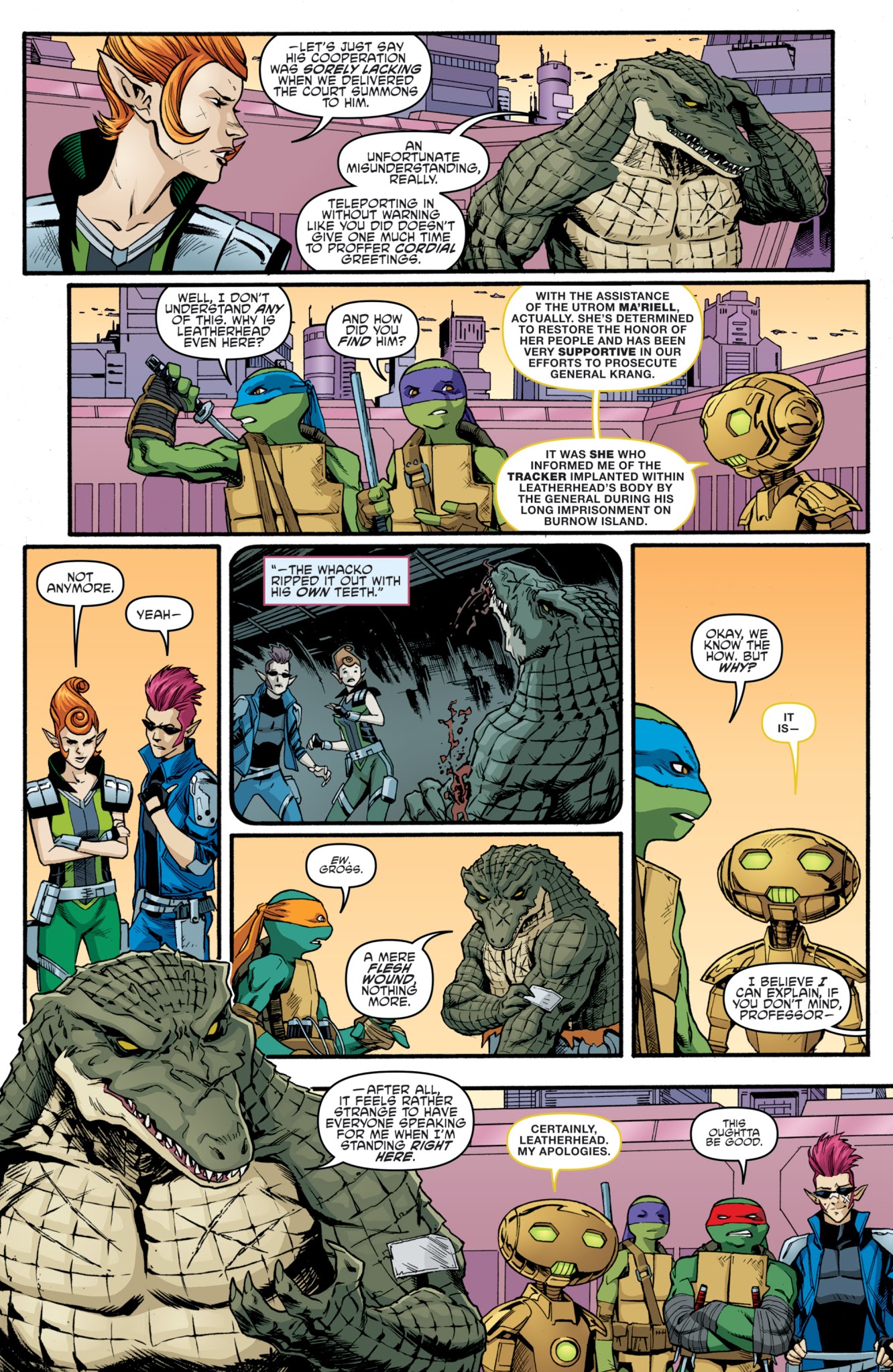 Read online Teenage Mutant Ninja Turtles (2011) comic -  Issue #73 - 10