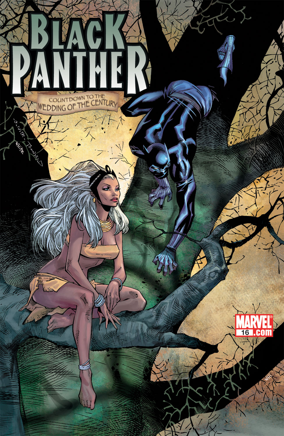 Black Panther (2005) issue 16 - Page 1