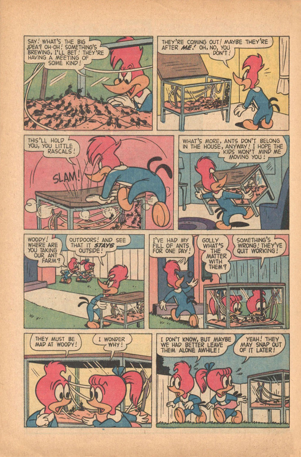 Read online Walter Lantz Woody Woodpecker (1962) comic -  Issue #119 - 8